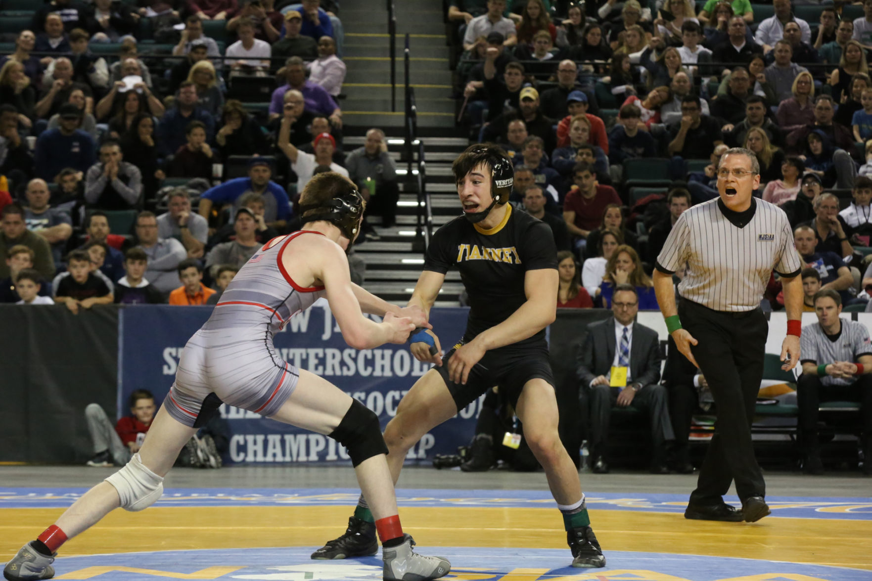 State Wrestling Tournament Finals